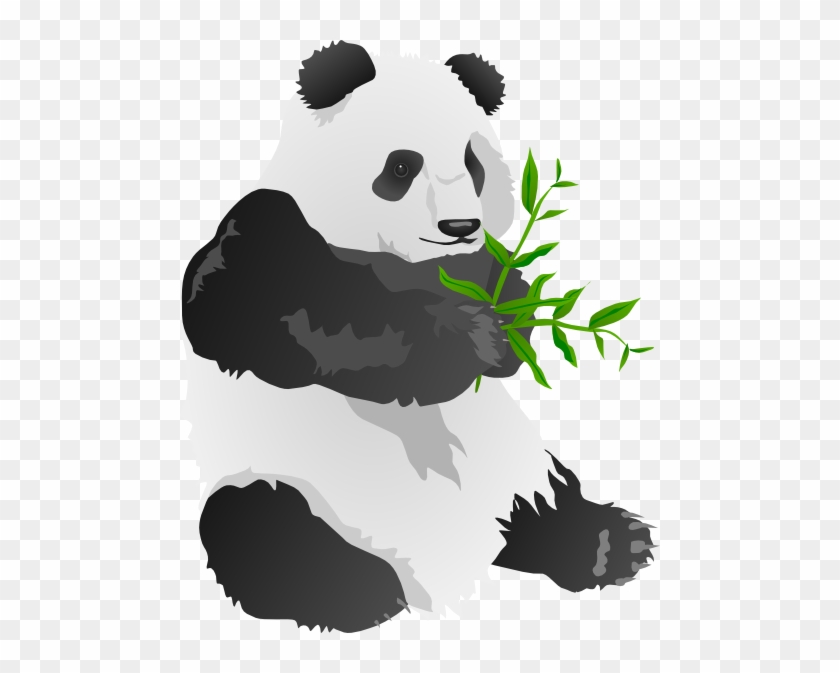 Detail Panda Clipart Transparent Nomer 39