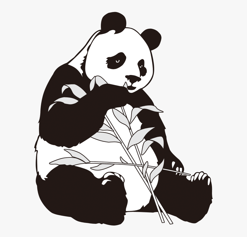 Detail Panda Clipart Transparent Background Nomer 28