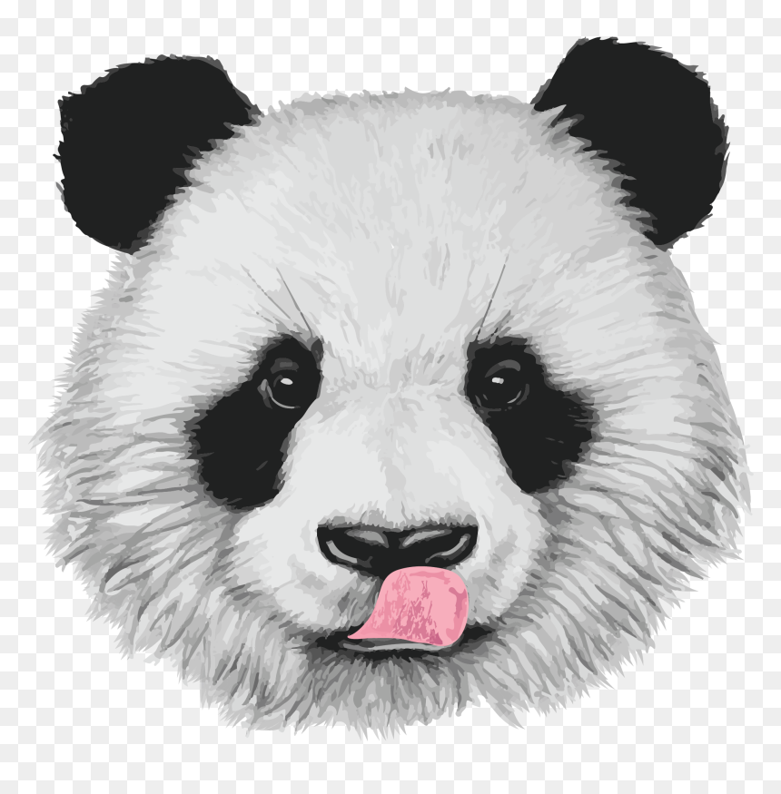 Detail Panda Face Png Nomer 50