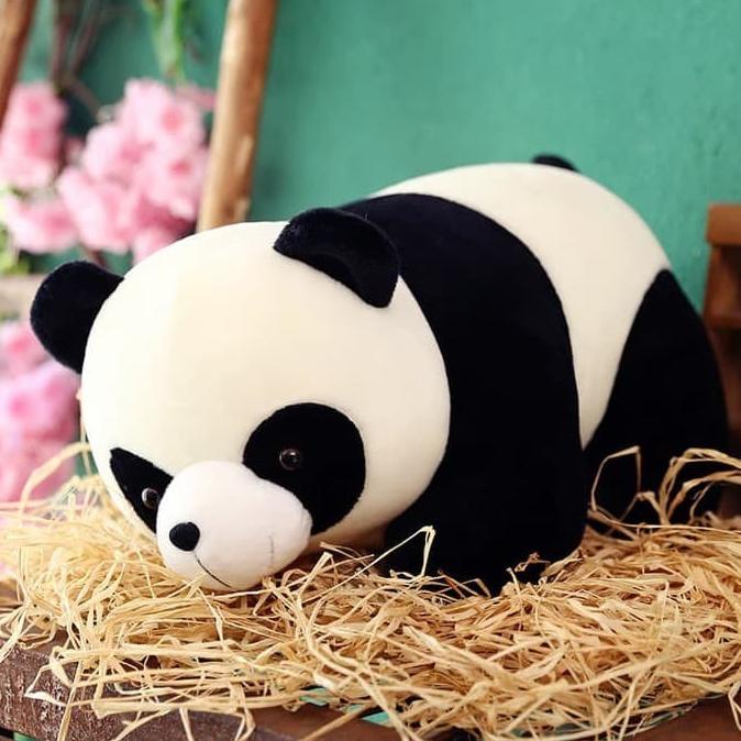 Detail Panda Imut Lucu Nomer 57