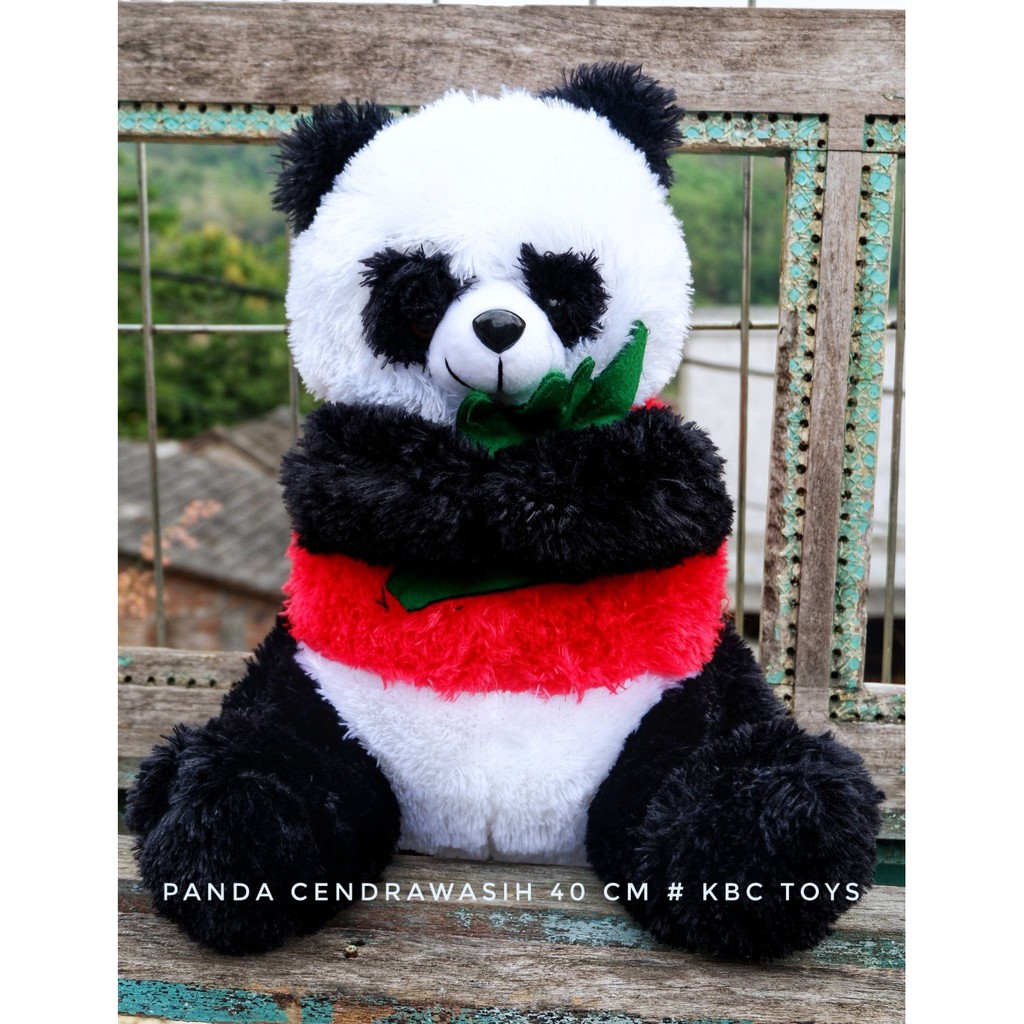 Detail Panda Lucu Dan Imut Nomer 35