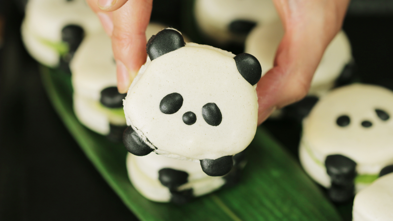 Detail Panda Macaron Nomer 2