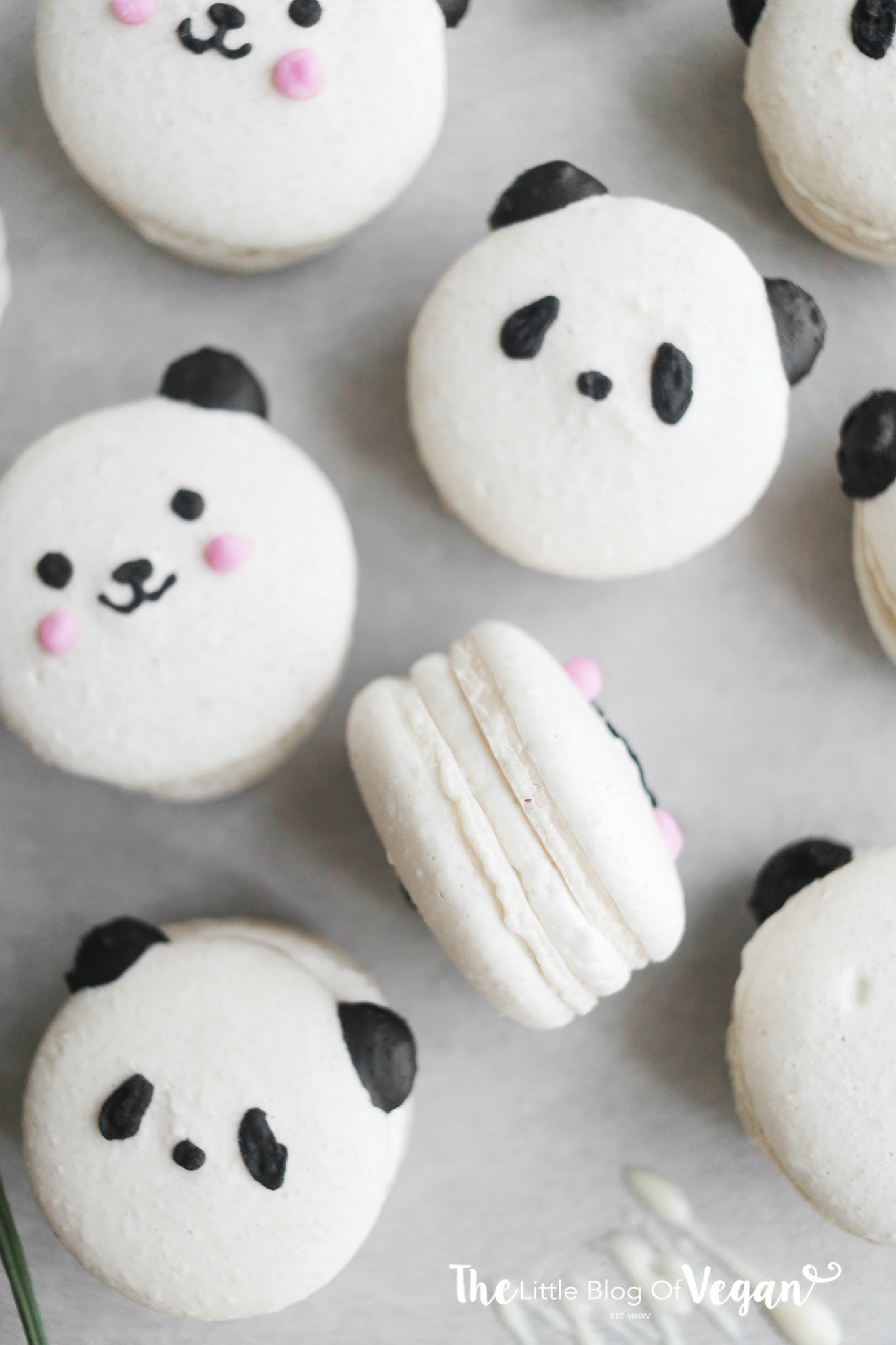 Detail Panda Macaron Nomer 22