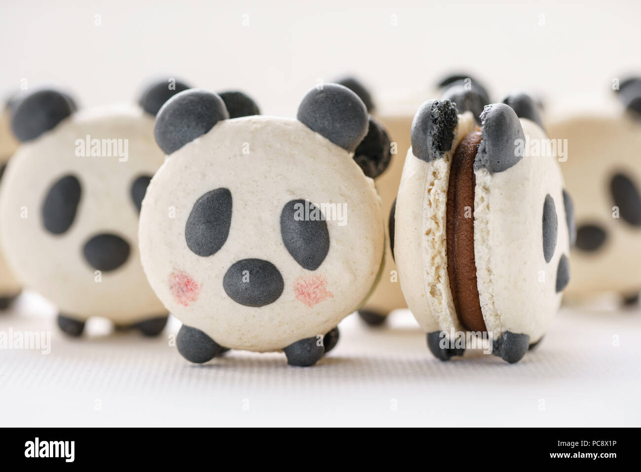 Detail Panda Macaron Nomer 31