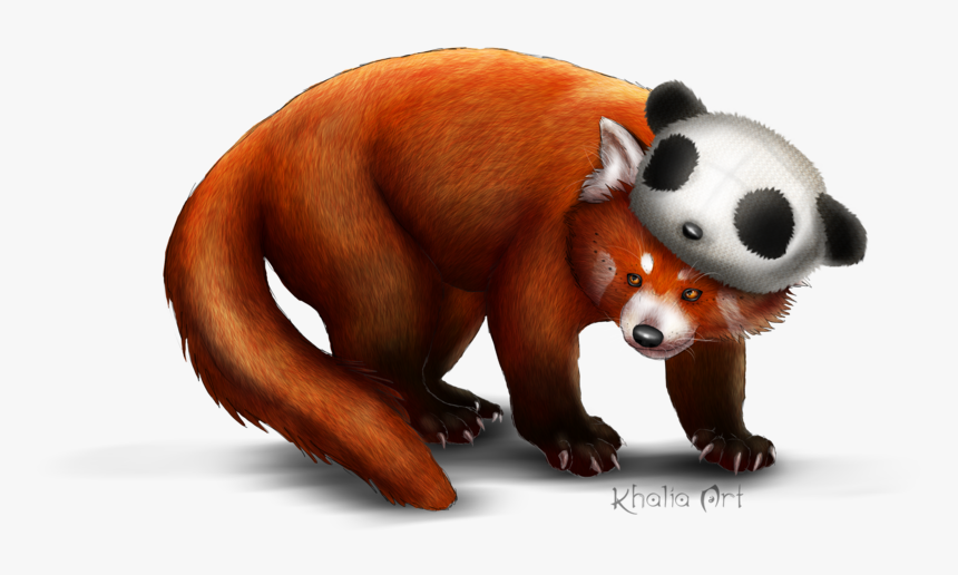 Detail Panda No Background Nomer 27
