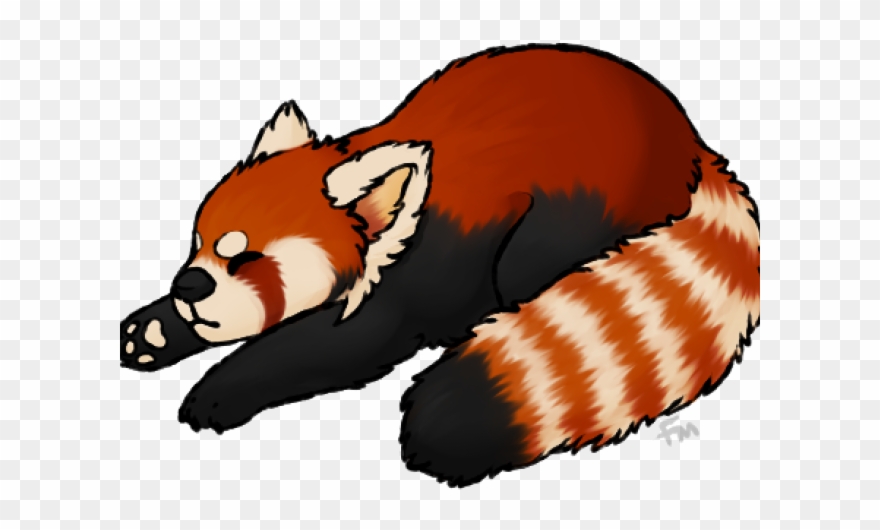 Detail Panda No Background Nomer 39