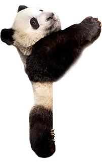 Detail Panda Png Transparent Nomer 43