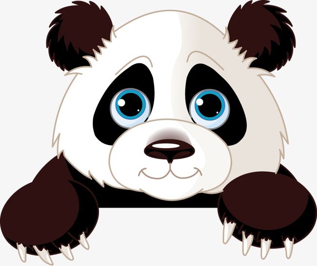 Panda Png Vector - KibrisPDR