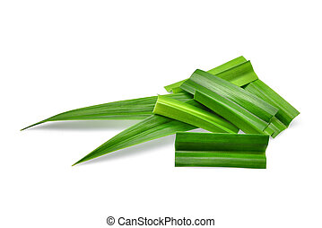 Detail Pandan Leaf Png Nomer 50