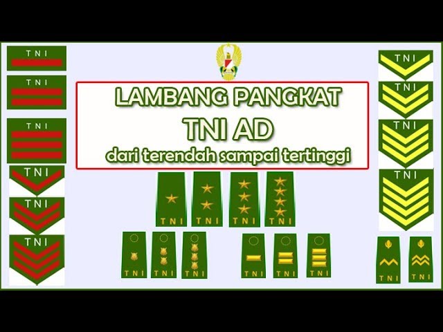 Detail Pangkat Tni Dan Lambangnya Nomer 2