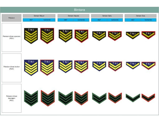 Detail Pangkat Tni Dan Lambangnya Nomer 12