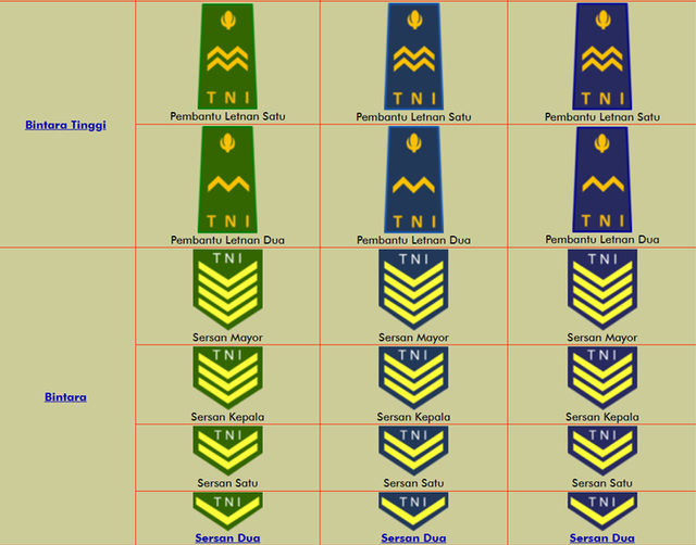 Detail Pangkat Tni Dan Lambangnya Nomer 14