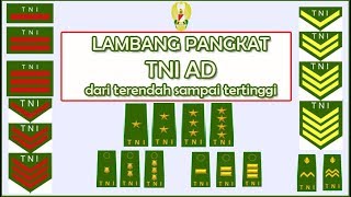 Detail Pangkat Tni Dan Lambangnya Nomer 15