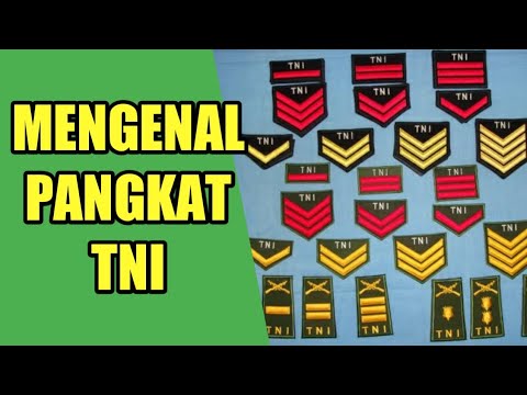 Detail Pangkat Tni Dan Lambangnya Nomer 19