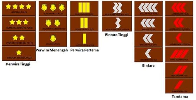 Detail Pangkat Tni Dan Lambangnya Nomer 44