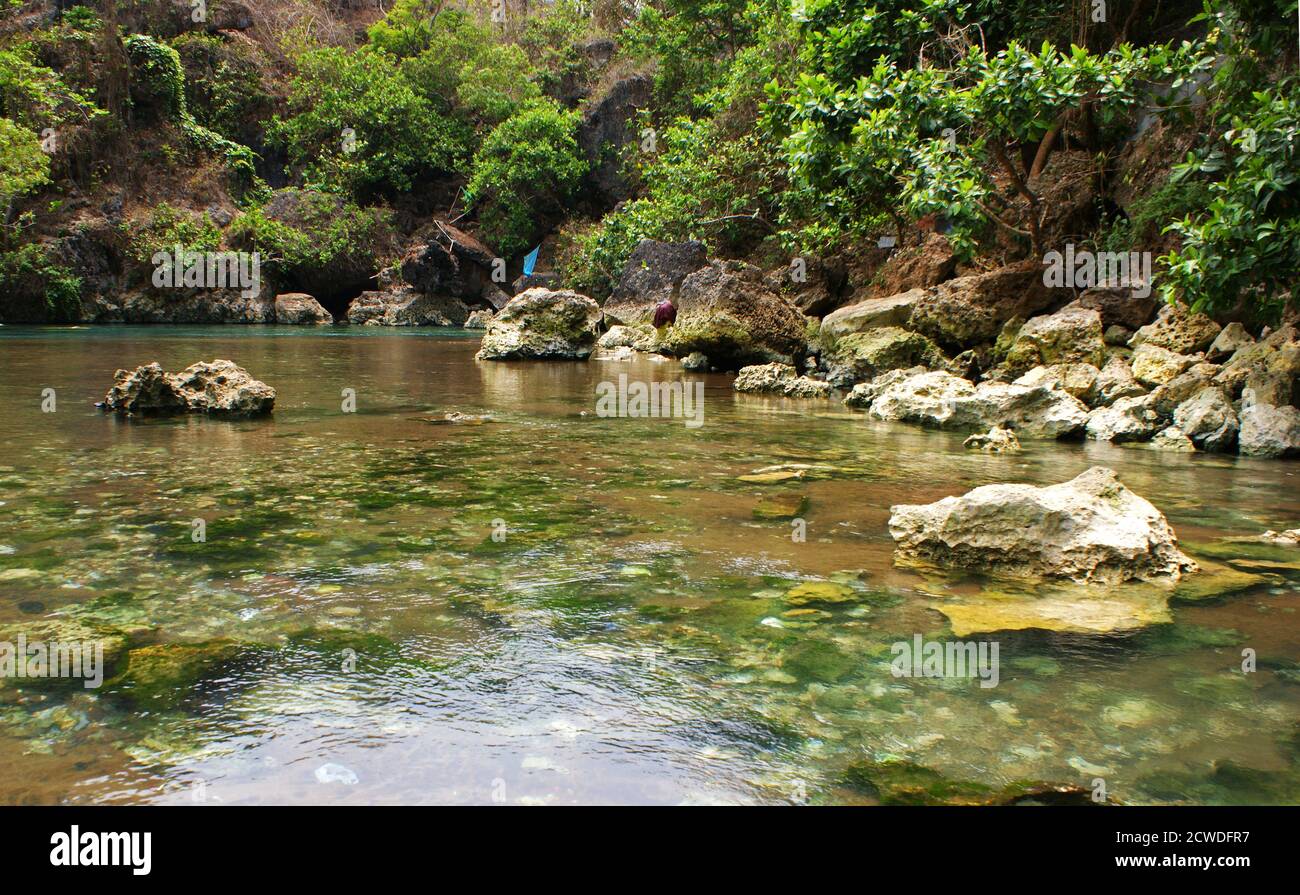 Detail Pantai Baron Gunung Gambar Wonosari Nomer 47