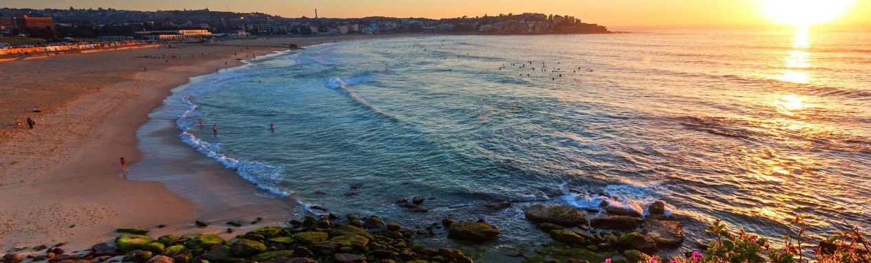 Detail Pantai Bondi Di Australia Nomer 33