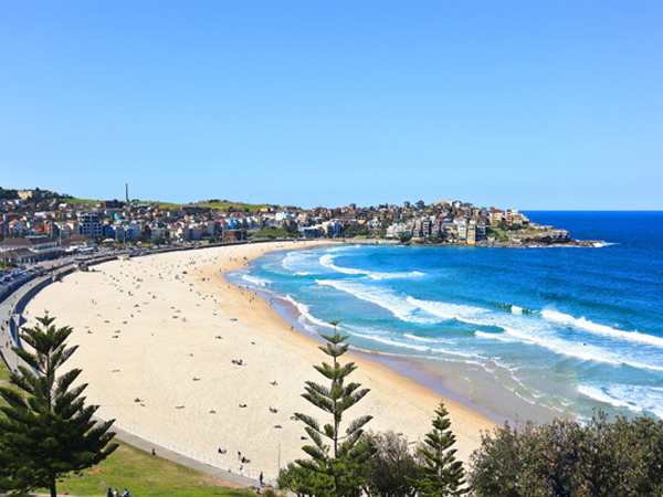 Detail Pantai Bondi Di Australia Nomer 5