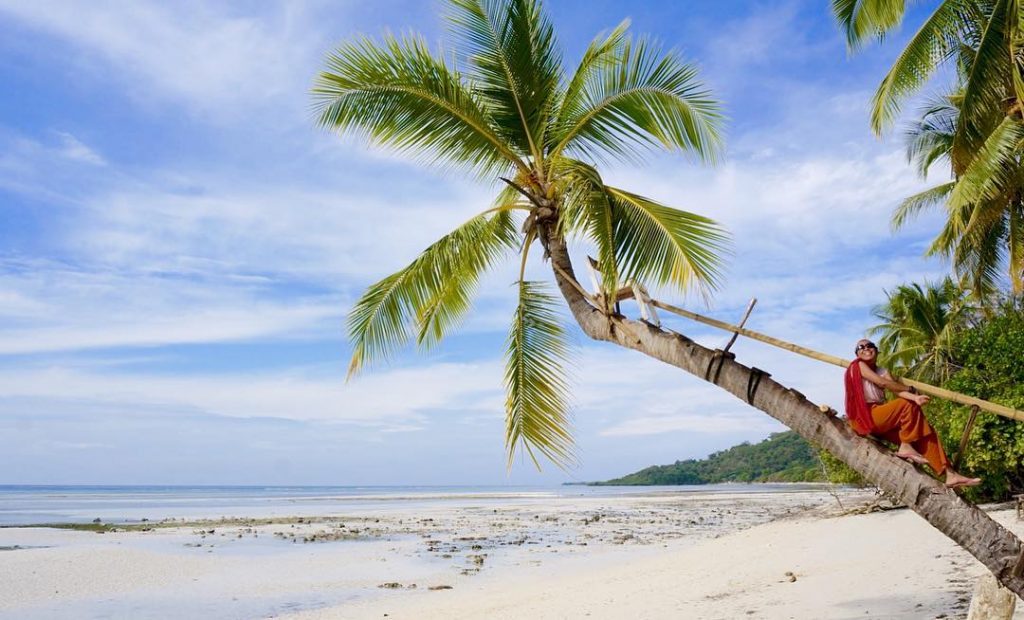 Detail Pantai Dan Pohon Kelapa Nomer 20