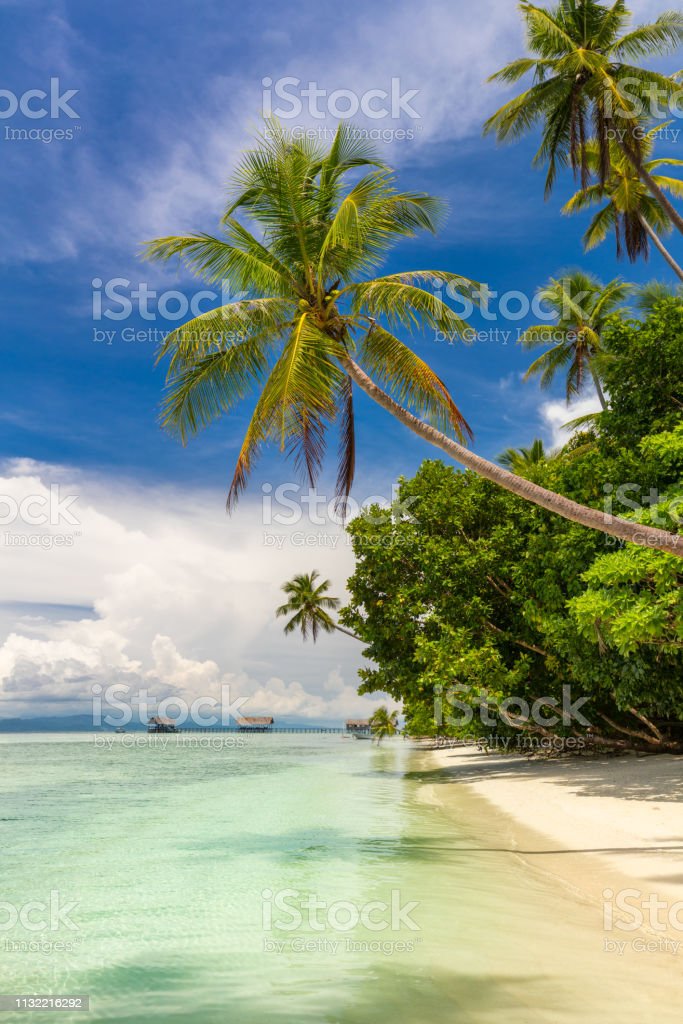 Detail Pantai Dan Pohon Kelapa Nomer 24