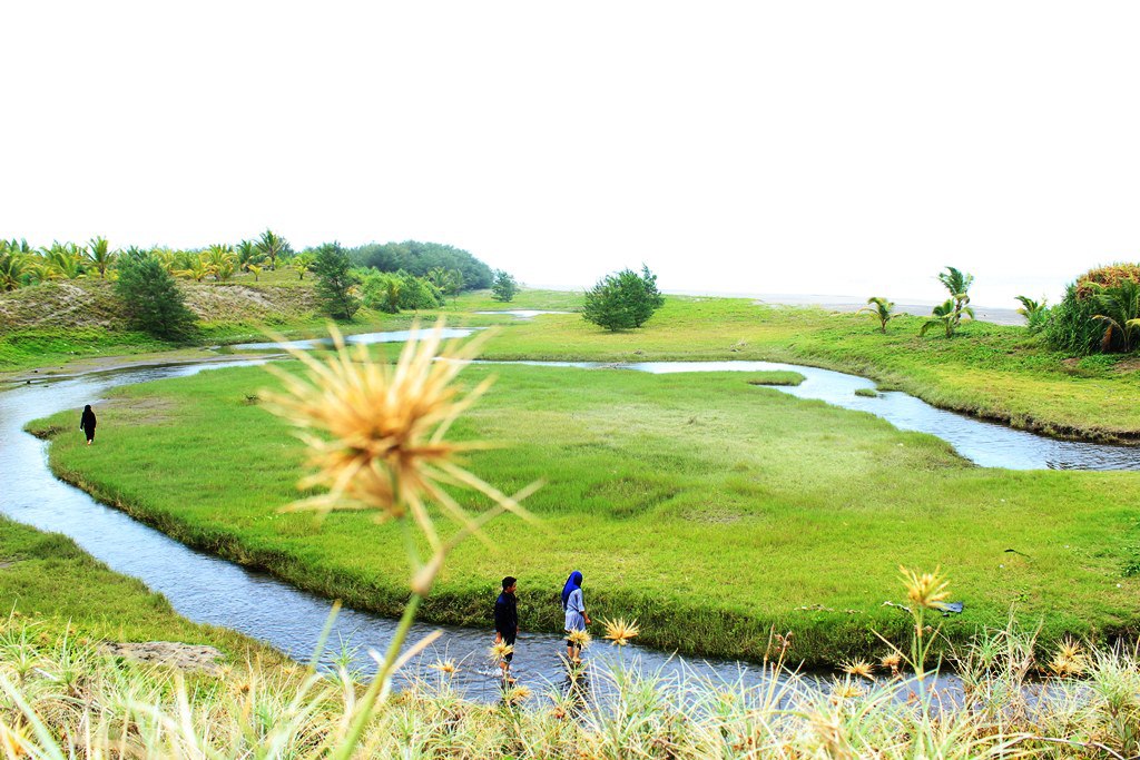 Detail Pantai Di Solo Nomer 36