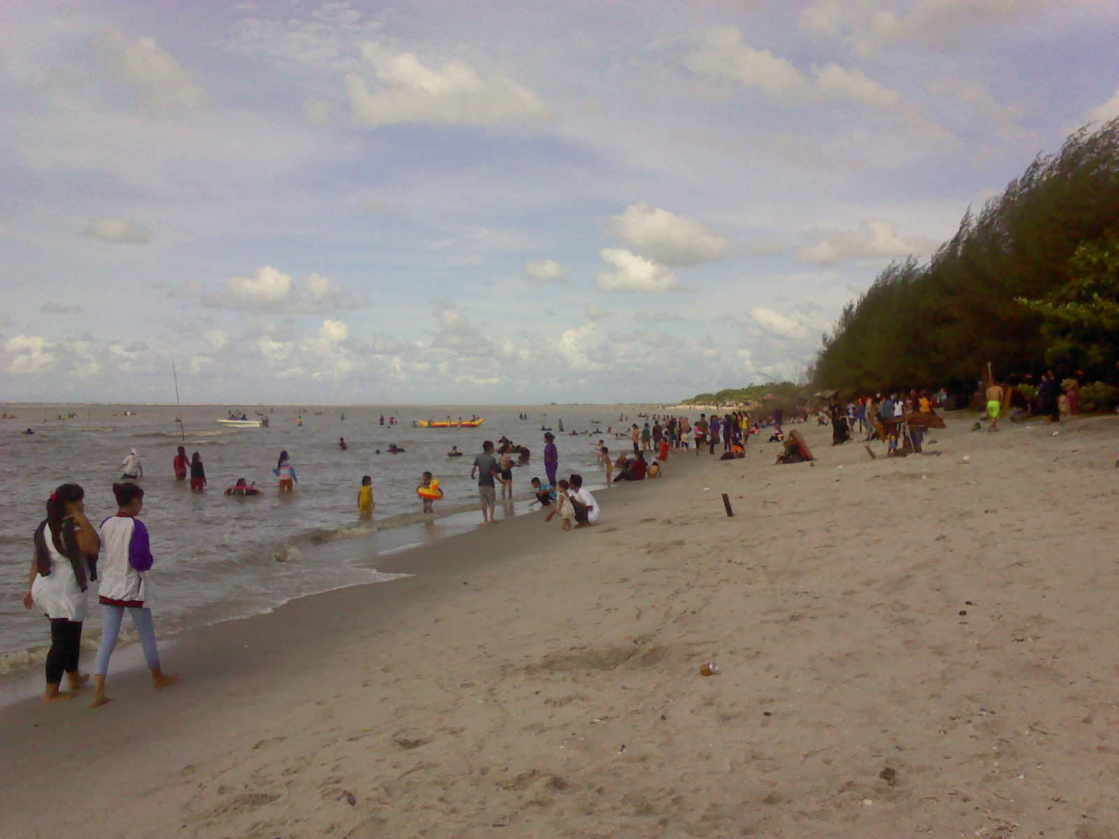 Detail Pantai Monyet Pantai Labu Nomer 16