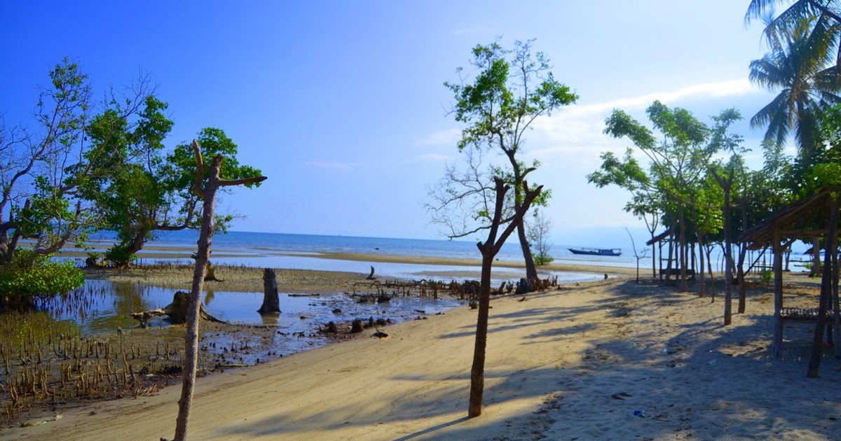 Detail Pantai Monyet Pantai Labu Nomer 17