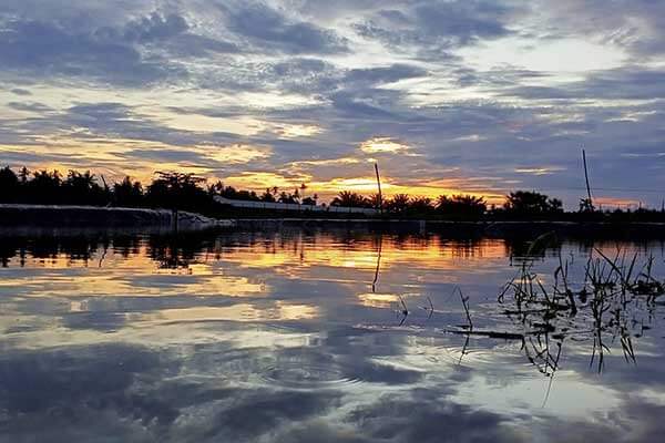 Detail Pantai Monyet Pantai Labu Nomer 27