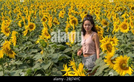 Detail Pantai Samas Sunflower Garden Nomer 23