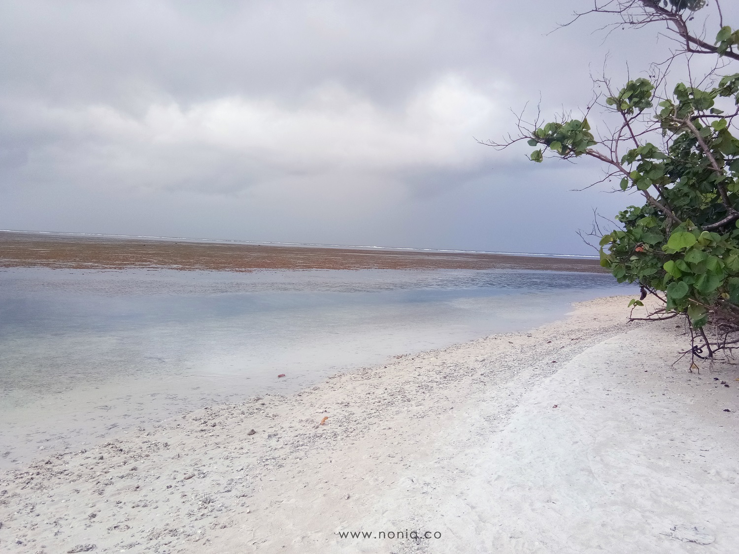 Detail Pantai Tenda Biru Nomer 14