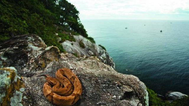 Detail Pantai Terseram Di Indonesia Nomer 29