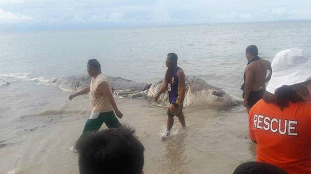 Detail Pantai Terseram Di Indonesia Nomer 33
