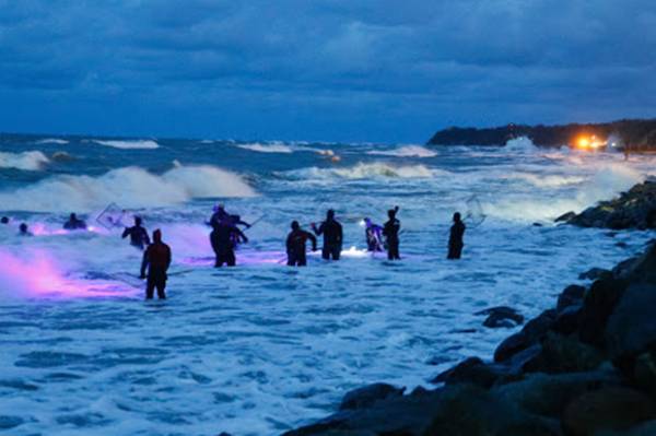 Detail Pantai Terseram Di Indonesia Nomer 34