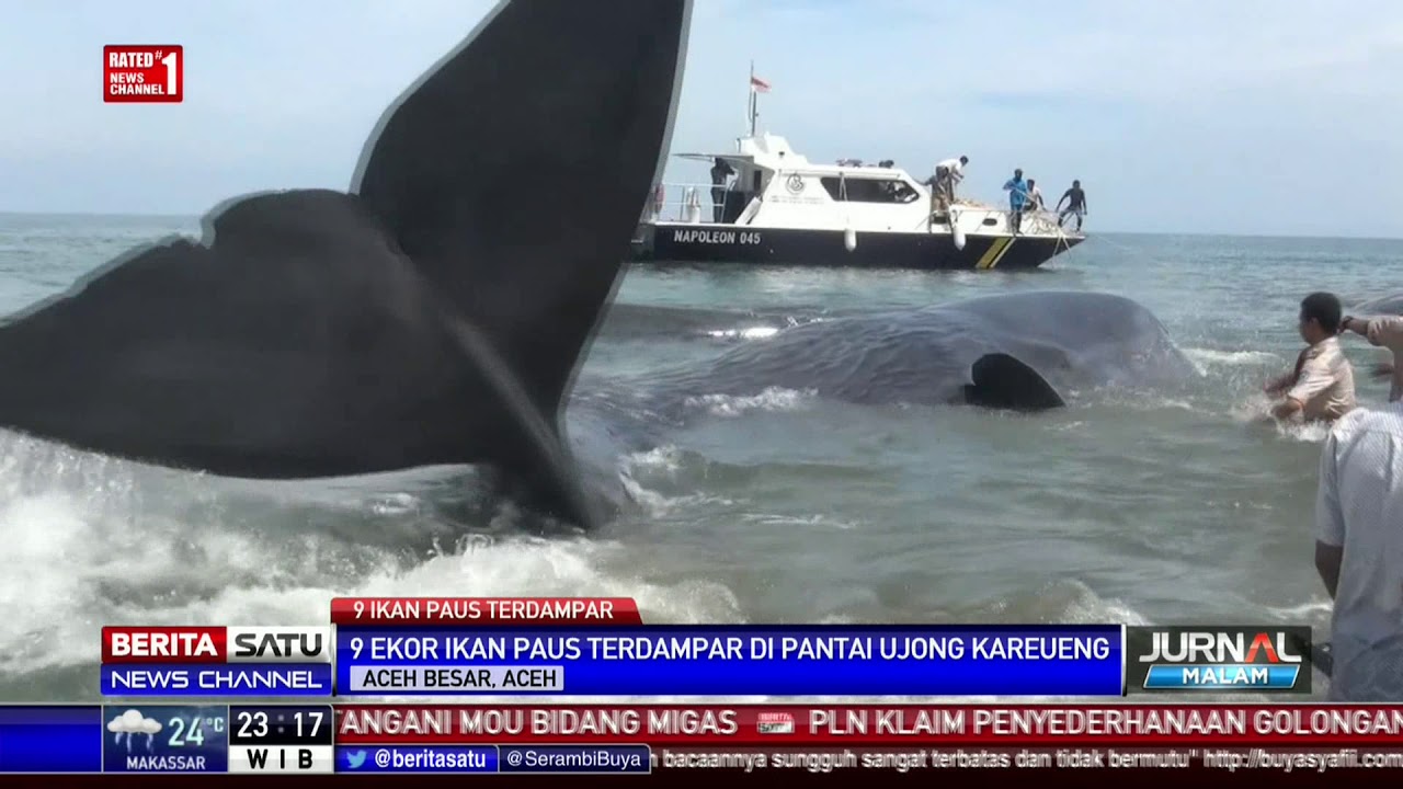 Detail Pantai Terseram Di Indonesia Nomer 35