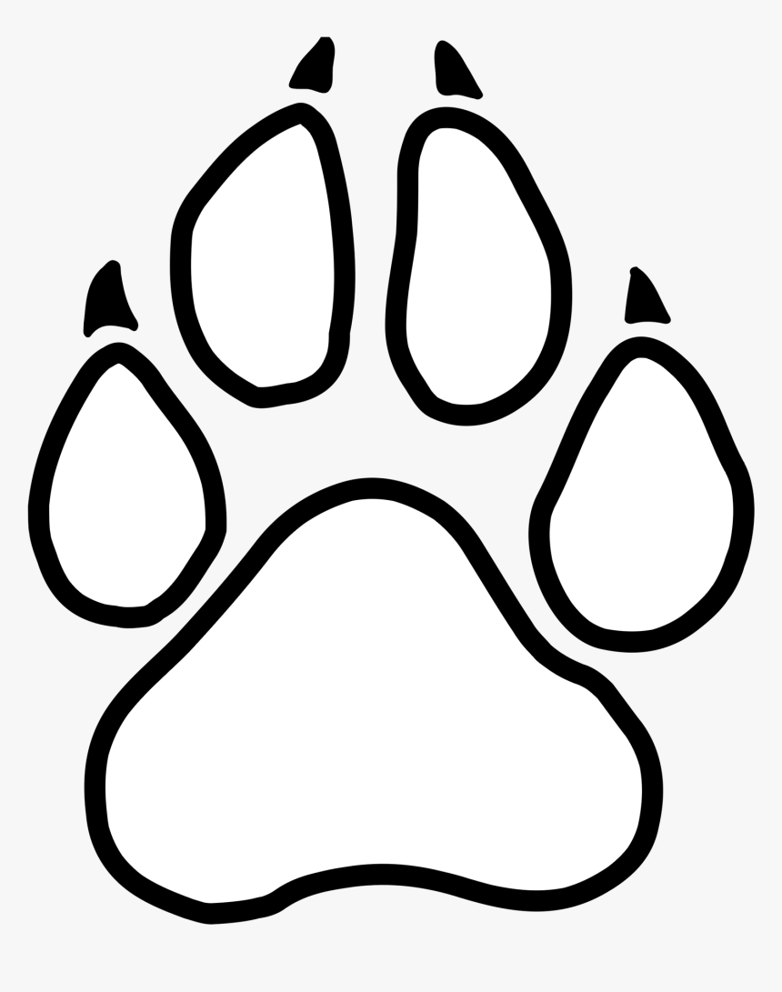 Detail Panther Paw Prints Clip Art Nomer 12