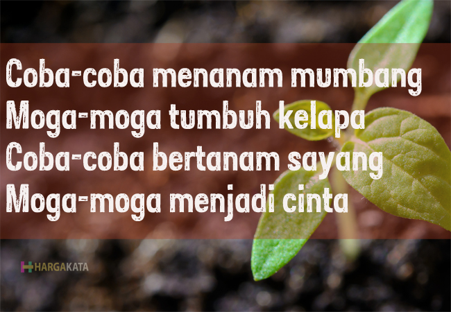 Detail Pantun Bergambar Tentang Cinta Nomer 39