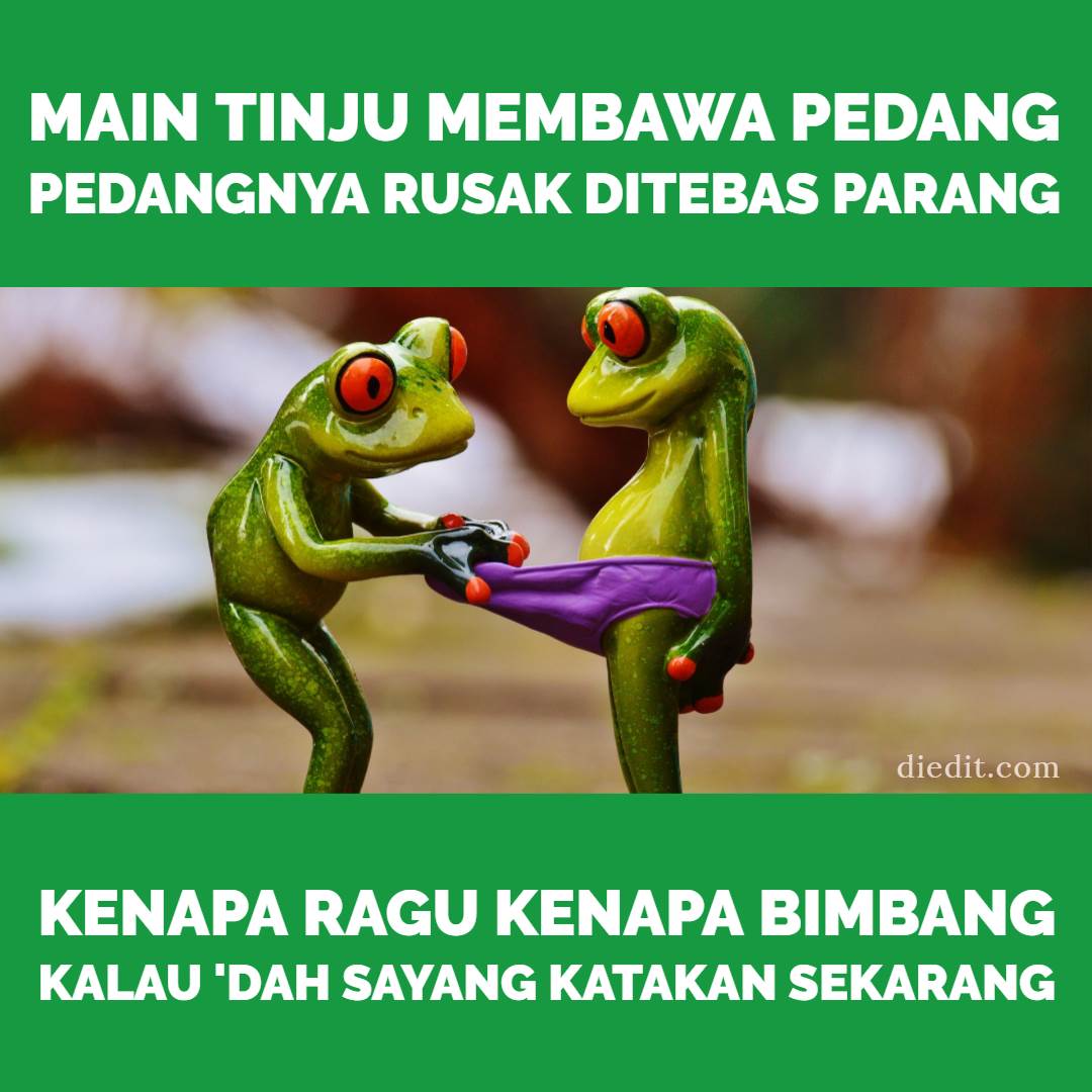 Detail Pantun Lucu Bergambar Nomer 23