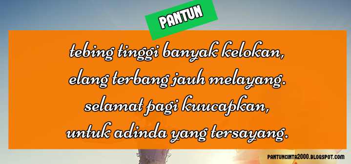 Detail Pantun Lucu Bergambar Nomer 46