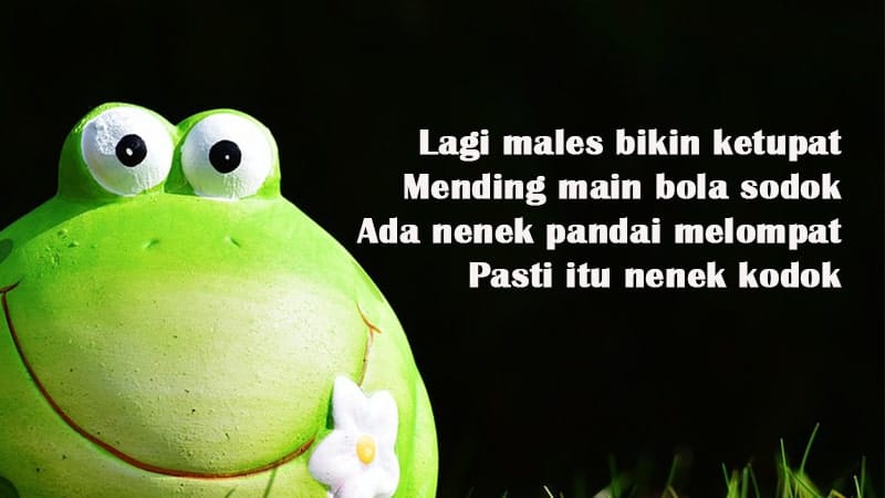 Detail Pantun Lucu Bergambar Nomer 9