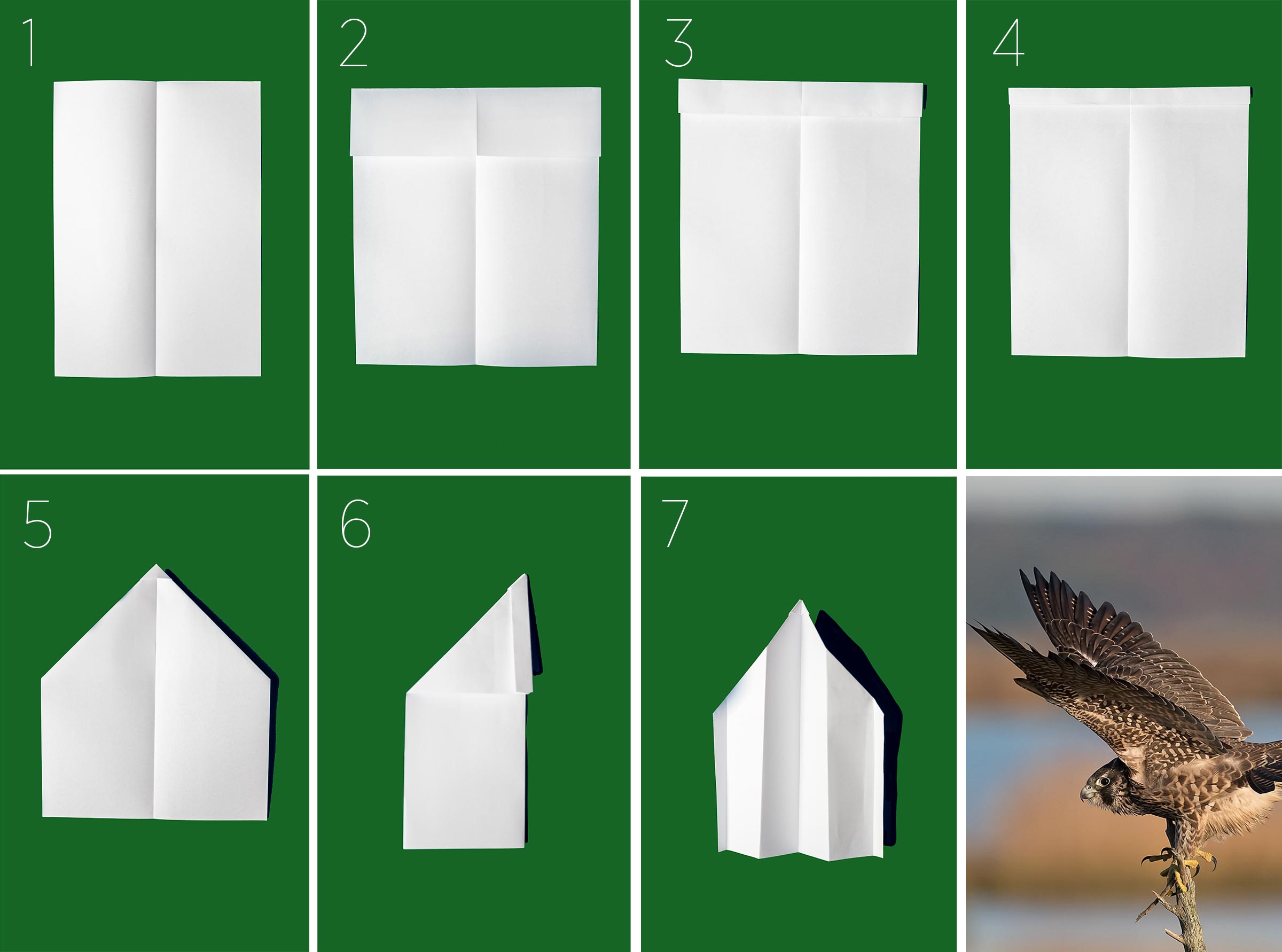 Detail Paper Airplane With Flapping Wings Nomer 40