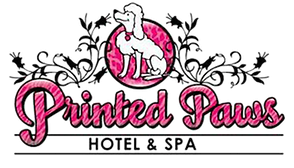 Detail Logo Trans Hotel Nomer 29