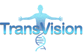 Detail Logo Transvision Png Nomer 25