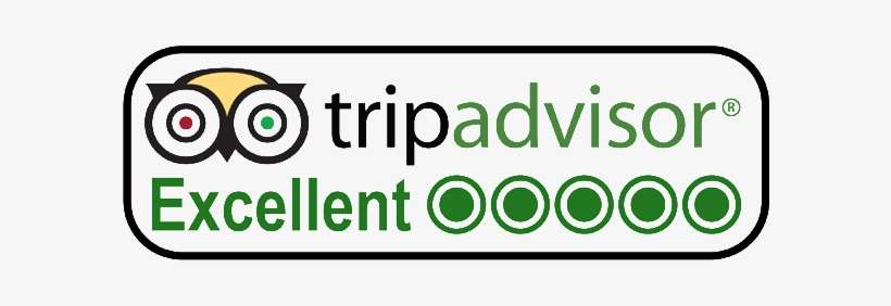 Detail Logo Trip Advisor Nomer 26