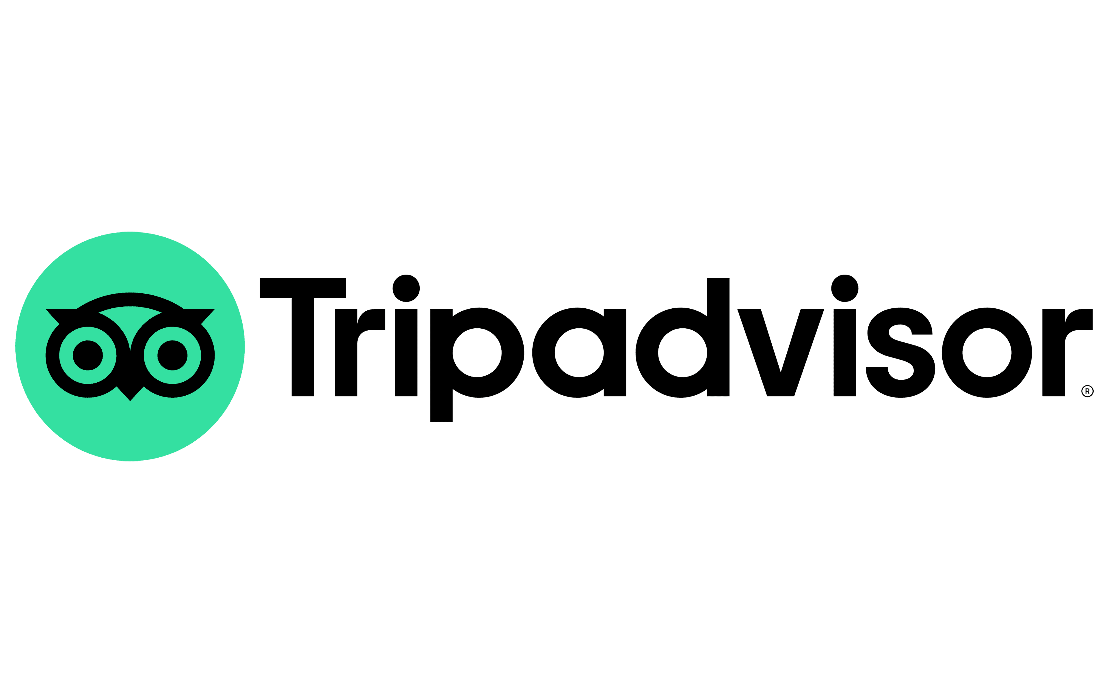 Detail Logo Tripadvisor Nomer 2