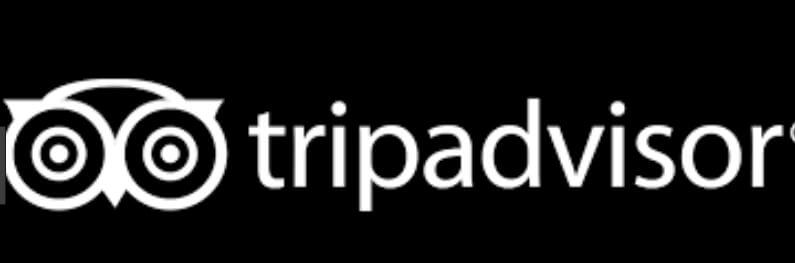Detail Logo Tripadvisor Nomer 16