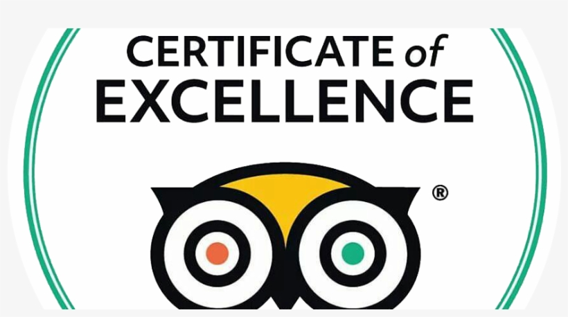 Detail Logo Tripadvisor Nomer 30
