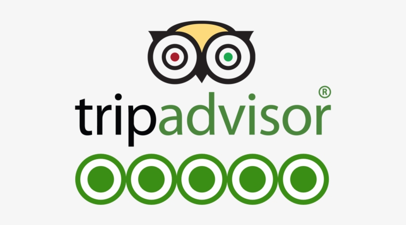 Detail Logo Tripadvisor Png Nomer 18