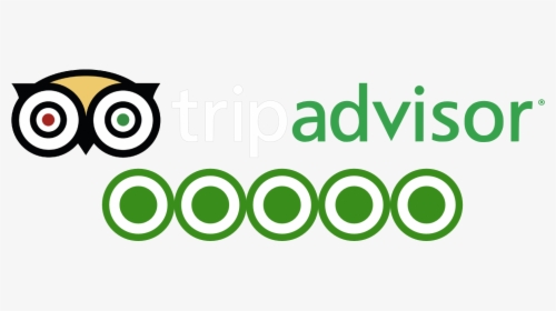 Detail Logo Tripadvisor Png Nomer 19