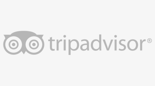 Detail Logo Tripadvisor Png Nomer 25