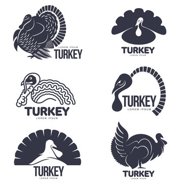 Detail Logo Turkey Nomer 12